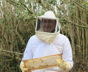 Governo dos Açores congratula-se com decisão da Comissão Europeia de reconhecer seis ilhas como indemnes de ‘Varroa’