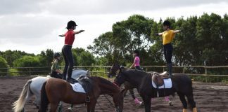 Capelo – Final de férias celebrado no Centro Hípico