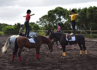 Capelo – Final de férias celebrado no Centro Hípico