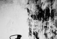 Teatro Micaelense inaugura exposição de fotografias de Guilherme Figueiredo e Margarida Maia
