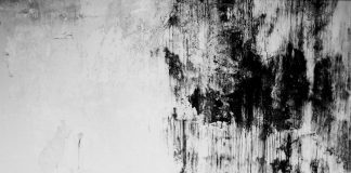 Teatro Micaelense inaugura exposição de fotografias de Guilherme Figueiredo e Margarida Maia