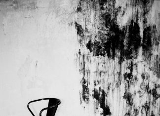 Teatro Micaelense inaugura exposição de fotografias de Guilherme Figueiredo e Margarida Maia