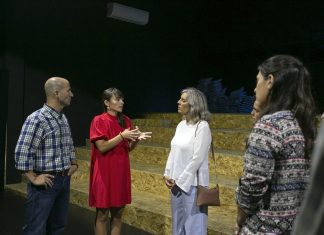 O País tem de apoiar mais a cultura e os jovens criadores dos Açores, defende Isabel Almeida Rodrigues