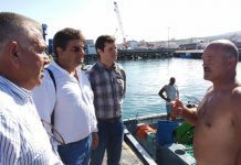 João Castro defende discriminação positiva das quotas de pesca