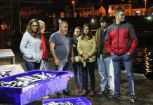 “Importa continuar a lutar pela diferenciação das pescarias na Região”, diz Lara Martinho