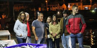 “Importa continuar a lutar pela diferenciação das pescarias na Região”, diz Lara Martinho