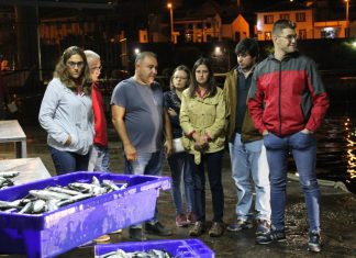 “Importa continuar a lutar pela diferenciação das pescarias na Região”, diz Lara Martinho