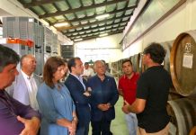 Márcio Silva destaca importância estratégica da sustentabilidade e promoção do setor