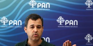 Eleições: Líder do PAN alerta que maioria absoluta “afunila sistema democrático”