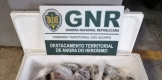 Terceira – Doação de 18 quilos de peixão