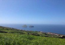 Governo dos Açores já apresentou calendário de pagamentos dos programas POSEI e PRORURAL+ para a campanha 2019/2020