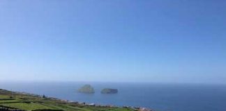 Governo dos Açores já apresentou calendário de pagamentos dos programas POSEI e PRORURAL+ para a campanha 2019/2020