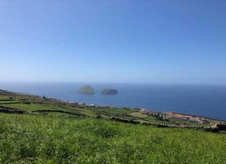 Governo dos Açores já apresentou calendário de pagamentos dos programas POSEI e PRORURAL+ para a campanha 2019/2020