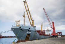 Portos dos Açores adjudica aquisição de nova Grua Portuária para o Porto da Praia da Vitória