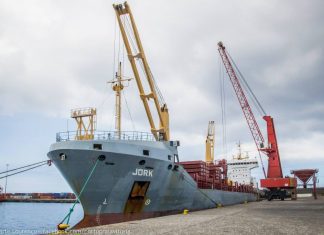 Portos dos Açores adjudica aquisição de nova Grua Portuária para o Porto da Praia da Vitória
