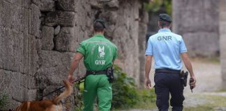 Buscas por homem de 85 anos desaparecido em Pinhel retomadas hoje