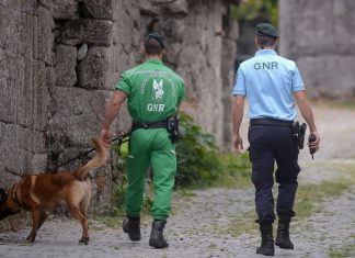 Buscas por homem de 85 anos desaparecido em Pinhel retomadas hoje