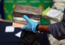 Espanha detém 81 e apreende 4 toneladas de cocaína com cooperação de Portugal