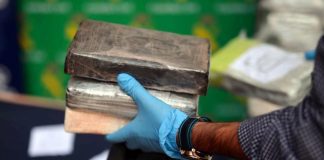 Espanha detém 81 e apreende 4 toneladas de cocaína com cooperação de Portugal