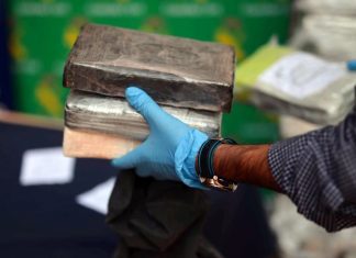 Espanha detém 81 e apreende 4 toneladas de cocaína com cooperação de Portugal