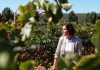 Assunção Cristas defende que agricultura “é aliada do ambiente”