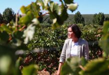 Assunção Cristas defende que agricultura “é aliada do ambiente”
