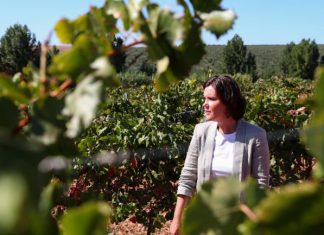 Assunção Cristas defende que agricultura “é aliada do ambiente”
