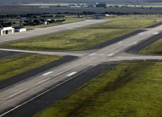 Aeroporto do Montijo: Biólogo da Universidade de Aveiro critica estudo de impacto ambiental por usar dados desatualizados