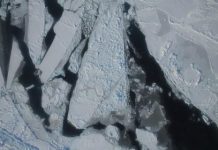Maior expedição científica de sempre ao Ártico parte hoje da Noruega