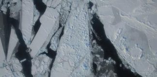 Maior expedição científica de sempre ao Ártico parte hoje da Noruega