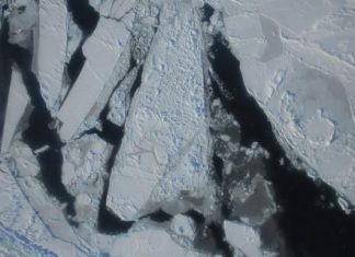 Maior expedição científica de sempre ao Ártico parte hoje da Noruega