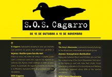 Campanha SOS Cagarro – Furacão Lorenzo responsável pela morte de cerca de 700 aves no Faial e Pico