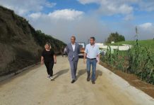 João Ponte afirma que Plano de 2020 para a Agricultura nos Açores vai impulsionar o desenvolvimento do setor e a melhoria do rendimento dos produtores