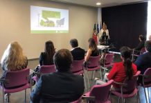 Mobilidade elétrica é uma aposta prioritária para 2020 com meio milhão de euros previstos para incentivos à aquisição de veículos elétricos