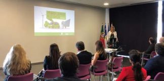 Mobilidade elétrica é uma aposta prioritária para 2020 com meio milhão de euros previstos para incentivos à aquisição de veículos elétricos