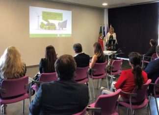 Mobilidade elétrica é uma aposta prioritária para 2020 com meio milhão de euros previstos para incentivos à aquisição de veículos elétricos