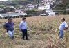 Governo dos Açores empenhado em minimizar prejuízos aos agricultores afetados pelo furacão Lorenzo
