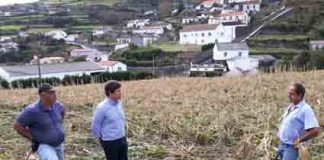 Governo dos Açores empenhado em minimizar prejuízos aos agricultores afetados pelo furacão Lorenzo