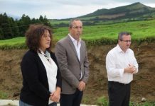 Governo dos Açores mantém nível de investimento público nas infraestruturas agrícolas em 2020