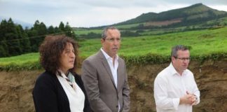 Governo dos Açores mantém nível de investimento público nas infraestruturas agrícolas em 2020