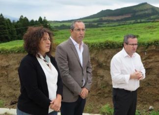 Governo dos Açores mantém nível de investimento público nas infraestruturas agrícolas em 2020