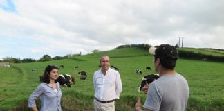 Governo Regional reforça investimento na sanidade, bem-estar animal, formação e apoio ao investimento em 2020, afirma João Ponte