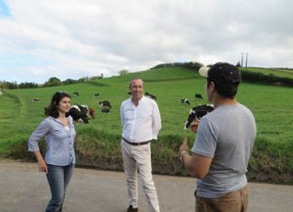 Governo Regional reforça investimento na sanidade, bem-estar animal, formação e apoio ao investimento em 2020, afirma João Ponte