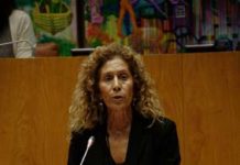 Estratégia de reorganização do sistema de saúde visa enfrentar novos desafios, afirma Teresa Machado Luciano