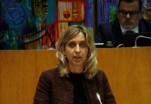 Sessão Plenária de outubro – Diploma do licenciamento das instalações elétricas “tem como objetivo simplificar e reduzir os processos burocráticos”, afirma Marta Guerreiro
