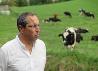 Governo dos Açores encontra solução para o transporte de bovinos das Flores e do Corvo