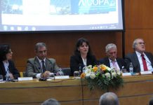 Alteração do Regime de Contratação Pública vai promover maior transparência e simplificação, afirma Ana Cunha