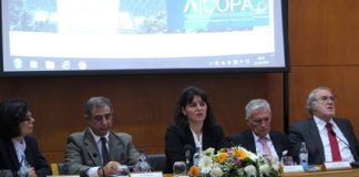 Alteração do Regime de Contratação Pública vai promover maior transparência e simplificação, afirma Ana Cunha