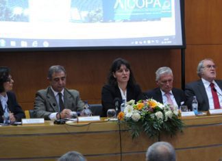 Alteração do Regime de Contratação Pública vai promover maior transparência e simplificação, afirma Ana Cunha