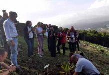 Parceiros de projeto de cooperação inter-regional encerram encontro nos Açores com plantação de endémicas